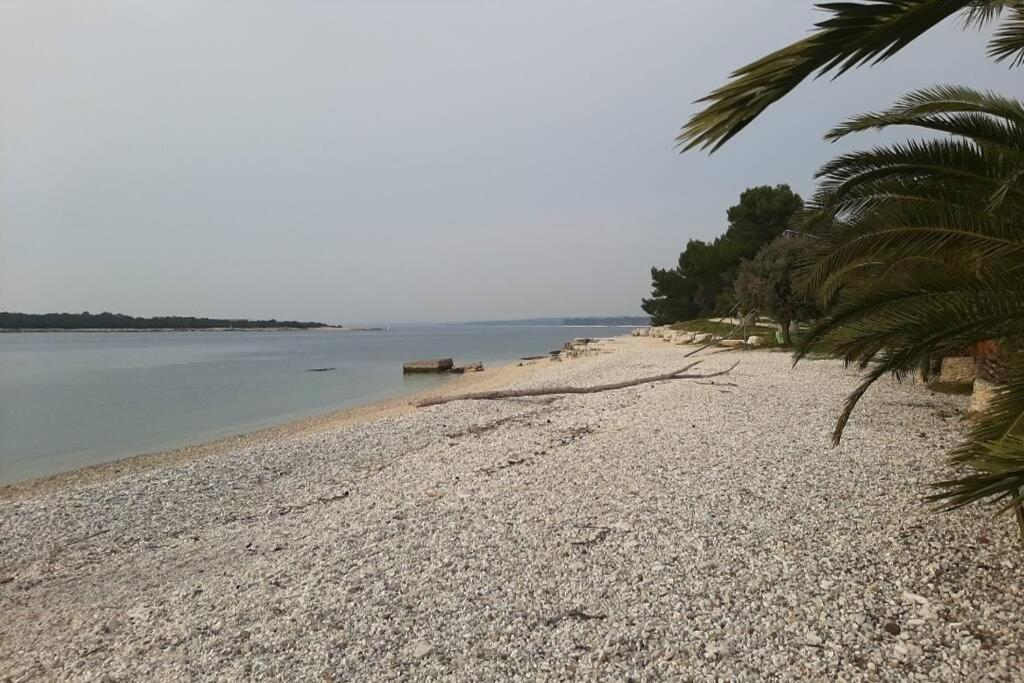 Apartman Near Fazana-500 From The Sea Kültér fotó